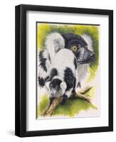 Black and White Lemur-Barbara Keith-Framed Premium Giclee Print