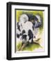 Black and White Lemur-Barbara Keith-Framed Premium Giclee Print