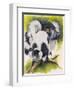 Black and White Lemur-Barbara Keith-Framed Premium Giclee Print