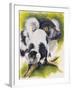 Black and White Lemur-Barbara Keith-Framed Giclee Print