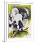 Black and White Lemur-Barbara Keith-Framed Giclee Print