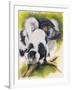 Black and White Lemur-Barbara Keith-Framed Giclee Print