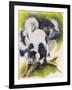 Black and White Lemur-Barbara Keith-Framed Giclee Print