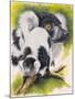 Black and White Lemur-Barbara Keith-Mounted Giclee Print