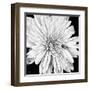 Black and White Love II-Donnie Quillen-Framed Art Print