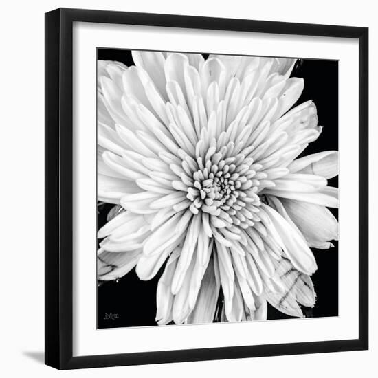 Black and White Love II-Donnie Quillen-Framed Art Print