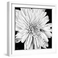 Black and White Love II-Donnie Quillen-Framed Art Print