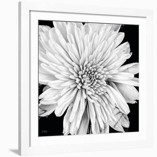 Black and White Love II-Donnie Quillen-Framed Art Print
