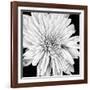 Black and White Love II-Donnie Quillen-Framed Art Print