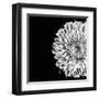 Black and White Love II-Donnie Quillen-Framed Art Print