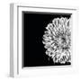 Black and White Love II-Donnie Quillen-Framed Art Print