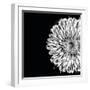 Black and White Love II-Donnie Quillen-Framed Art Print