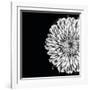 Black and White Love II-Donnie Quillen-Framed Art Print