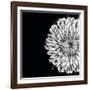 Black and White Love II-Donnie Quillen-Framed Art Print