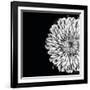 Black and White Love II-Donnie Quillen-Framed Art Print