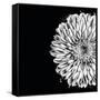 Black and White Love II-Donnie Quillen-Framed Stretched Canvas