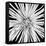 Black and White Love-Donnie Quillen-Framed Stretched Canvas