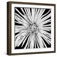 Black and White Love-Donnie Quillen-Framed Art Print