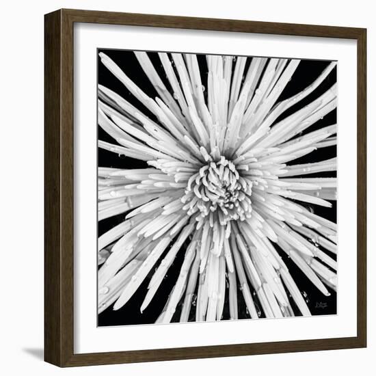 Black and White Love-Donnie Quillen-Framed Art Print