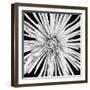 Black and White Love-Donnie Quillen-Framed Art Print