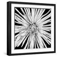 Black and White Love-Donnie Quillen-Framed Art Print