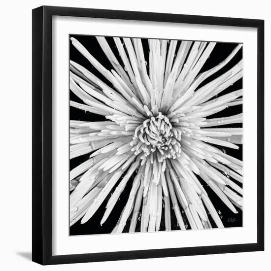 Black and White Love-Donnie Quillen-Framed Art Print