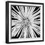 Black and White Love-Donnie Quillen-Framed Art Print