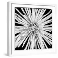 Black and White Love-Donnie Quillen-Framed Art Print