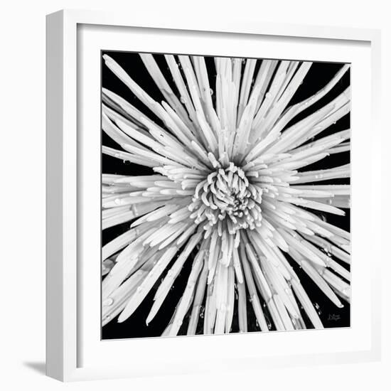 Black and White Love-Donnie Quillen-Framed Art Print