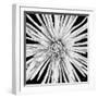Black and White Love-Donnie Quillen-Framed Art Print
