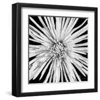 Black and White Love-Donnie Quillen-Framed Art Print