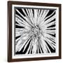 Black and White Love-Donnie Quillen-Framed Art Print