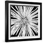 Black and White Love-Donnie Quillen-Framed Art Print