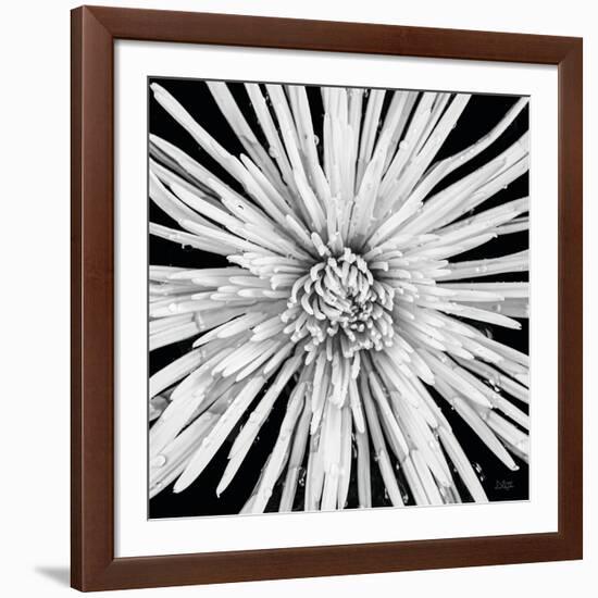 Black and White Love-Donnie Quillen-Framed Art Print