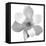 Black and White Magnolia Flower-Anna Miller-Framed Stretched Canvas