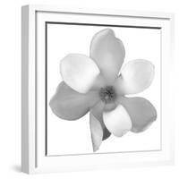 Black and White Magnolia Flower-Anna Miller-Framed Photographic Print