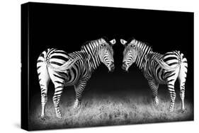 Black and White Mirrored Zebras-Sheila Haddad-Stretched Canvas
