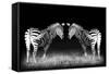 Black and White Mirrored Zebras-Sheila Haddad-Framed Stretched Canvas