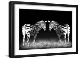 Black and White Mirrored Zebras-Sheila Haddad-Framed Photographic Print