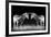 Black and White Mirrored Zebras-Sheila Haddad-Framed Photographic Print