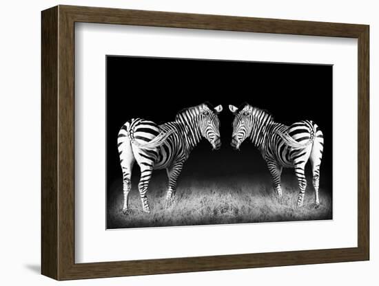 Black and White Mirrored Zebras-Sheila Haddad-Framed Photographic Print