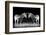 Black and White Mirrored Zebras-Sheila Haddad-Framed Photographic Print