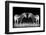 Black and White Mirrored Zebras-Sheila Haddad-Framed Photographic Print