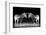 Black and White Mirrored Zebras-Sheila Haddad-Framed Photographic Print