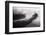 Black and White Mist Landscape-MrEco99-Framed Photographic Print