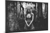 Black And White Mood In The Forest-null-Mounted Giclee Print