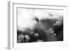 Black And White Moods-Incredi-Framed Giclee Print