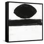 Black and White O-Franka Palek-Framed Stretched Canvas