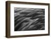 Black and white of pattern in American flamingo feathers-Adam Jones-Framed Photographic Print