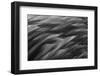 Black and white of pattern in American flamingo feathers-Adam Jones-Framed Photographic Print